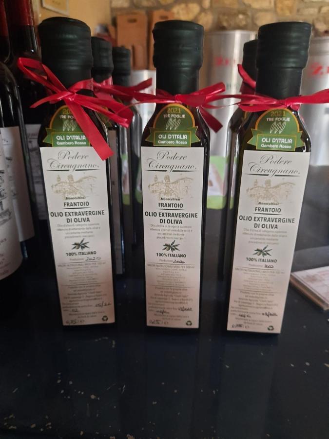 Agriturismo Circugnano Grassina Kültér fotó