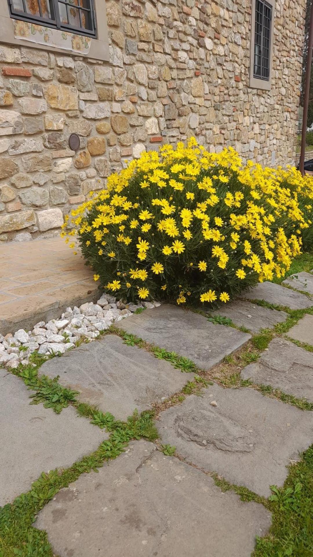 Agriturismo Circugnano Grassina Kültér fotó
