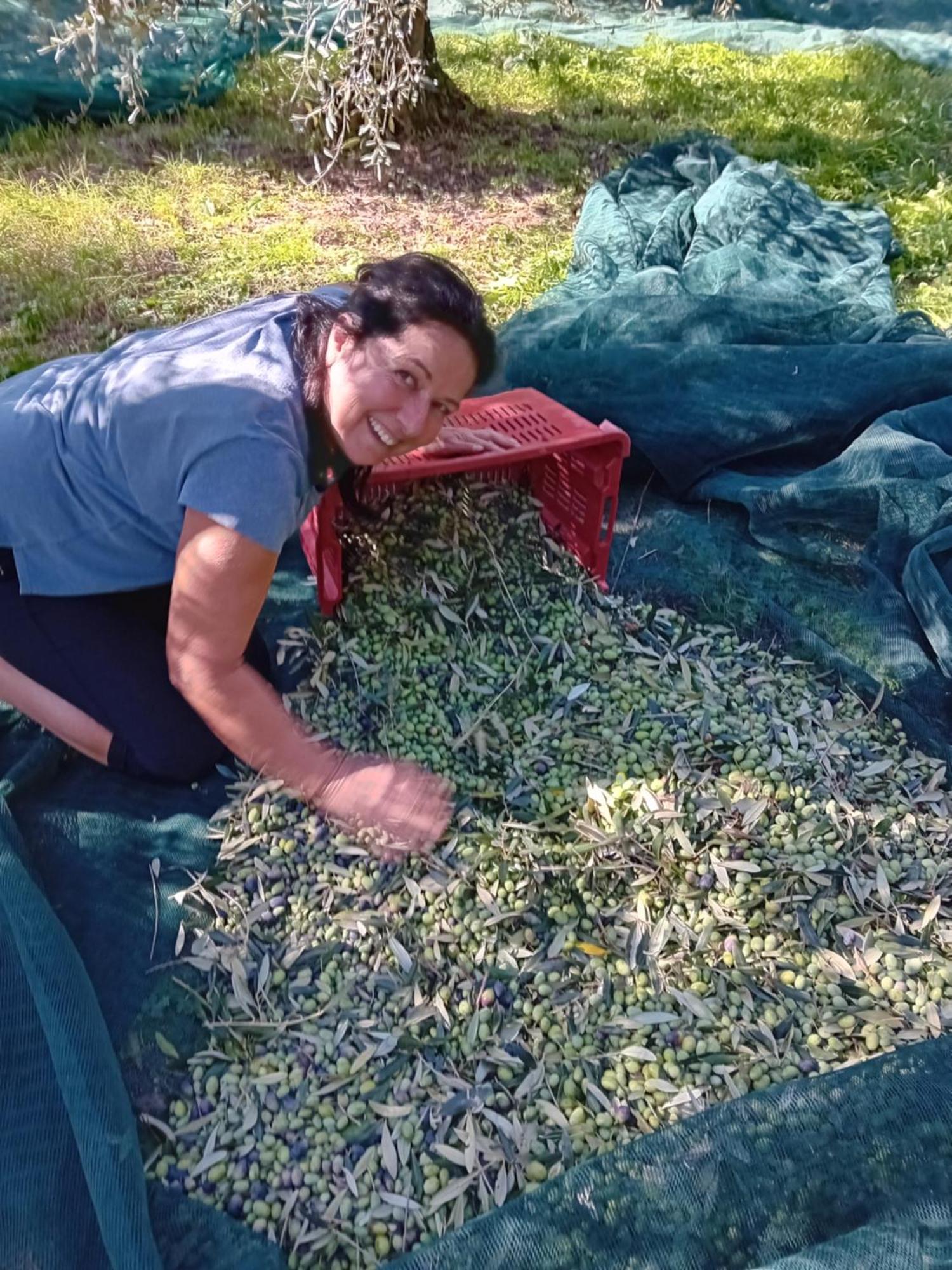 Agriturismo Circugnano Grassina Kültér fotó