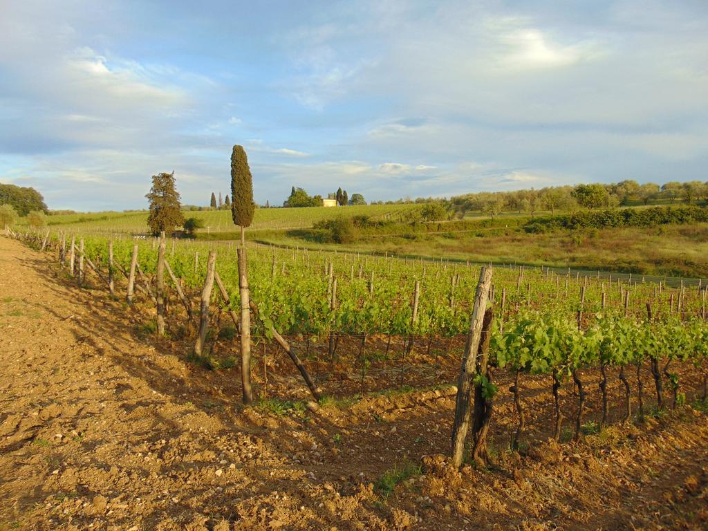 Agriturismo Circugnano Grassina Kültér fotó