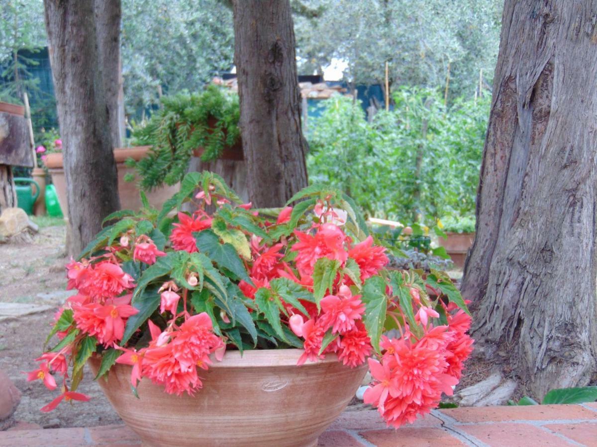 Agriturismo Circugnano Grassina Kültér fotó